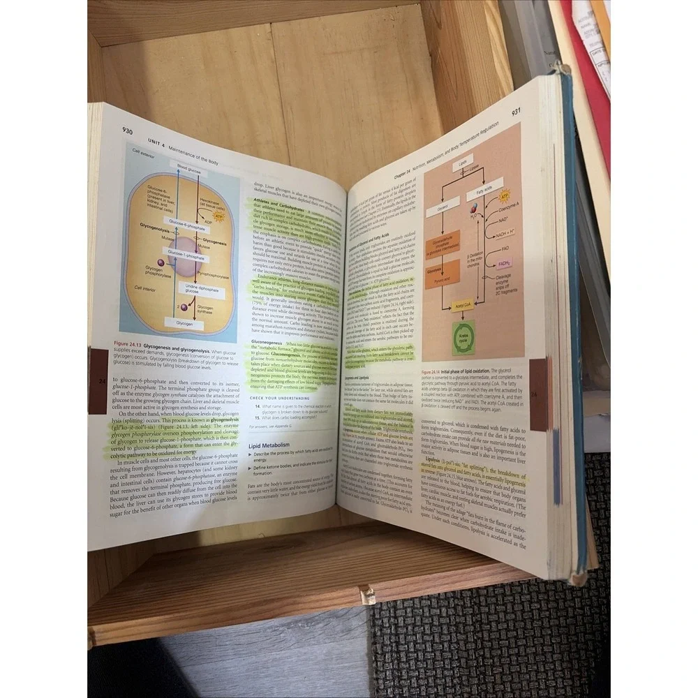 Human Anatomy And Physiology  by Elaine Marieb